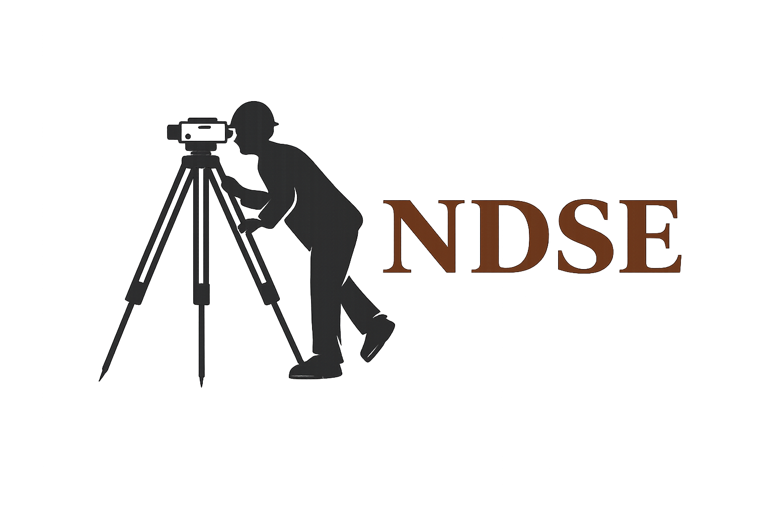 NDSE Logo